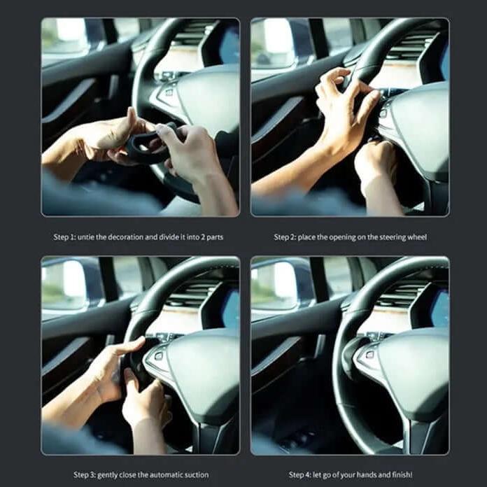 Autopilot Assistenz Tesla Model 3/Y · bis 2023/2024 | e - car - shop.ch
