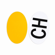 CH Schild Magnet & Kleber 2 in 1 (2 - teilig) | e - car - shop.ch