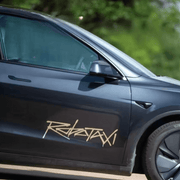 Tesla Robotaxi Aufkleber 50×20 cm | e - car - shop.ch