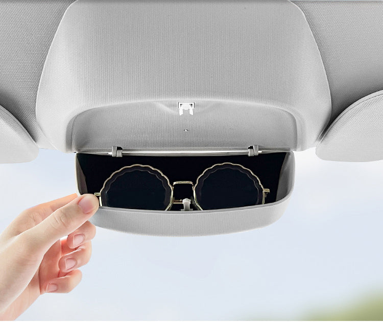 Brillen Aufbewahrungsbox Tesla Model Y | e-car-shop.ch