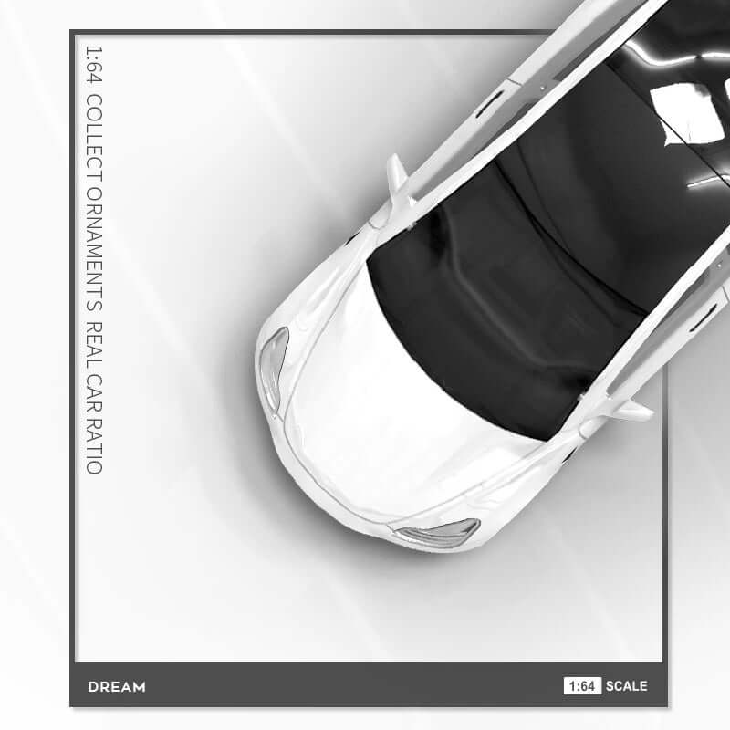Tesla Model 3 Modellauto 1/64 "SPECIAL - EDITION" | e - car - shop.ch